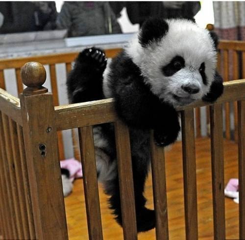 Татьяна Касовская | 