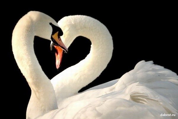 Ольга Квачантирадзе(Потапова) | Великий Новгород