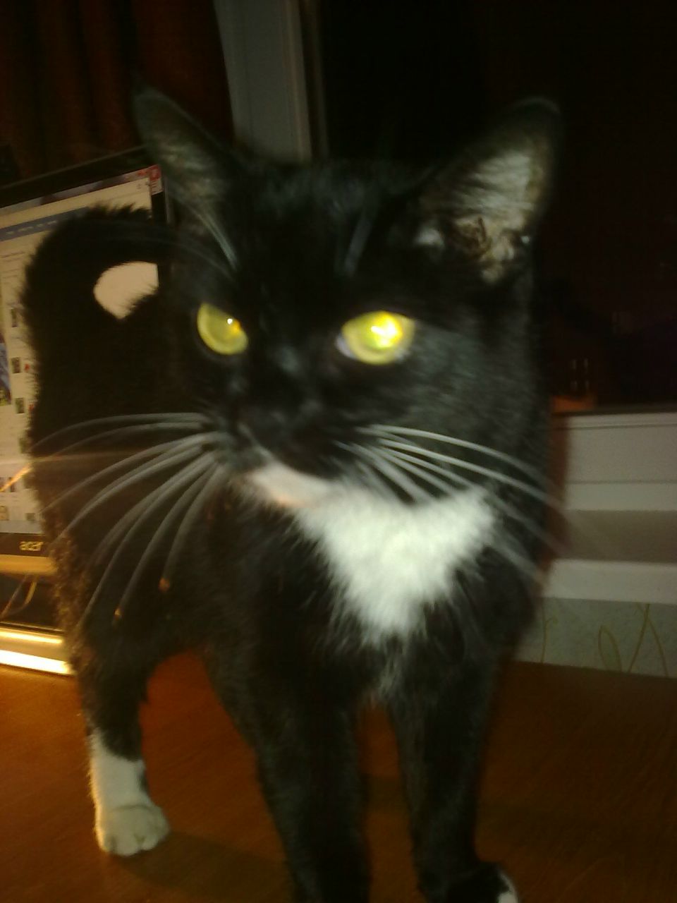 Галина Плахотная | Минск