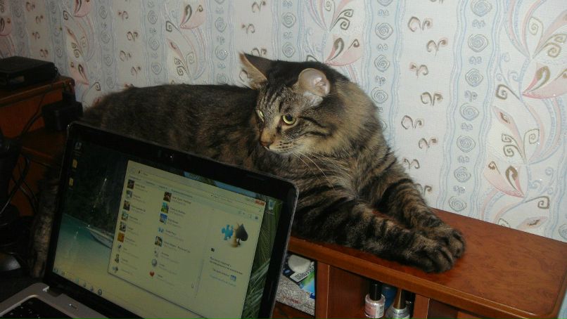 Айгуль Гилязева | Набережные Челны