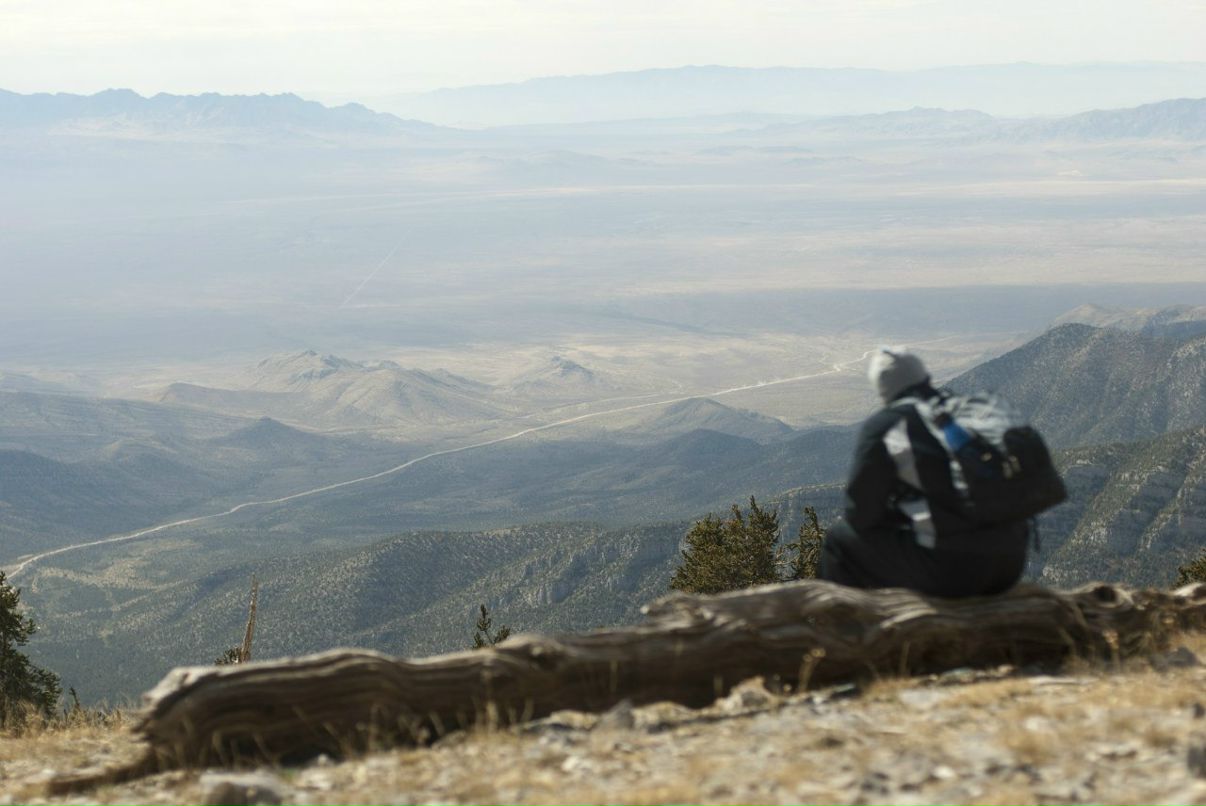 Инал Хужоков | Москва