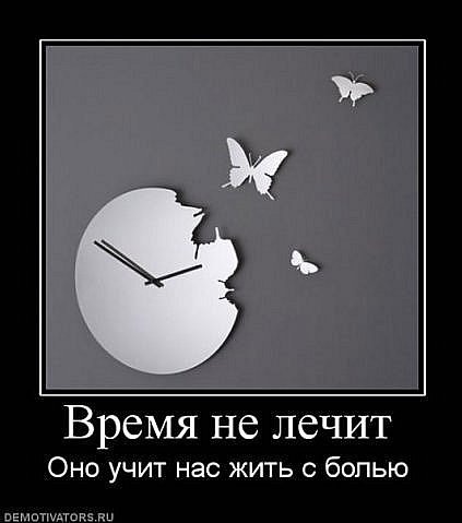 №6, Коля Руднюк №6, Коля Руднюк