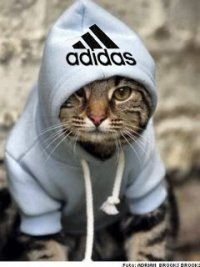 №113, Alexander Karmazin, Полтава №113, Alexander Karmazin, Полтава