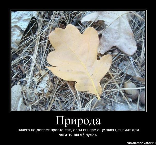 №14, Александр Соловьев №14, Александр Соловьев