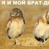 Аватар: Петя Петров