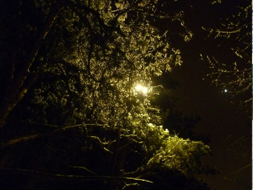 Татьяна Пекшева Юрьевна | 