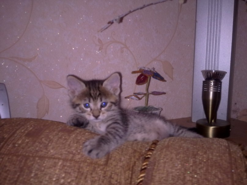 Александр Титоренко | Ростов-на-Дону