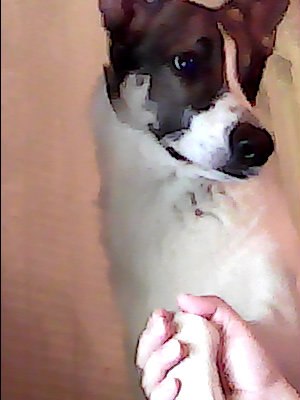 Алла Носкова | Санкт-Петербург