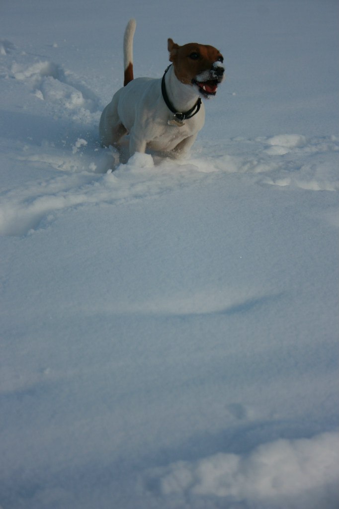 Елена Катковская | Гатчина