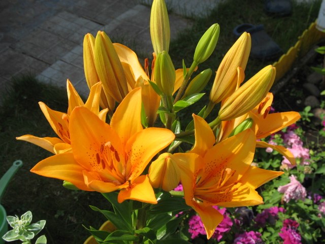 Ильмира Ягафарова | Уфа