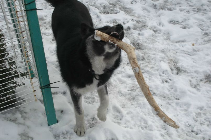 Елена Петрова | Санкт-Петербург