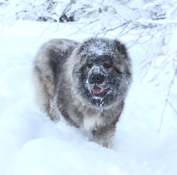 №5, Вероника Доничева, Новосибирск №5, Вероника Доничева, Новосибирск