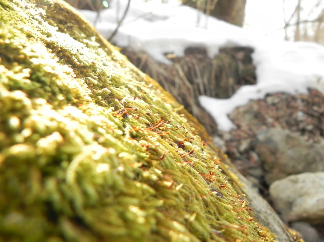 Полина Федоскова Teetotal | Владивосток