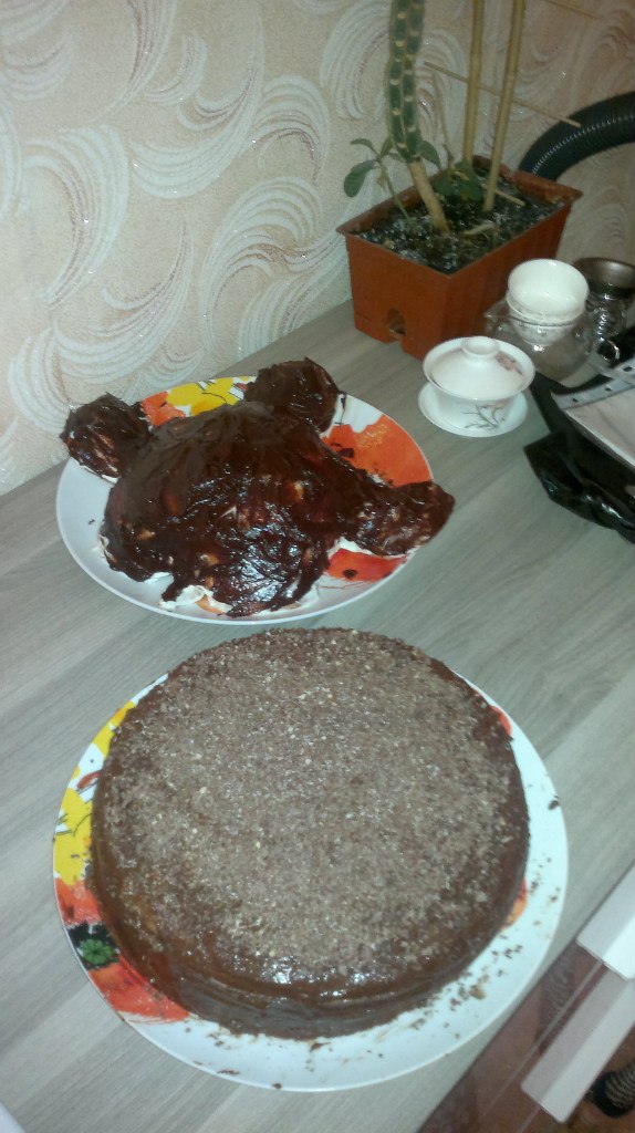 Ксения Любич | Новосибирск