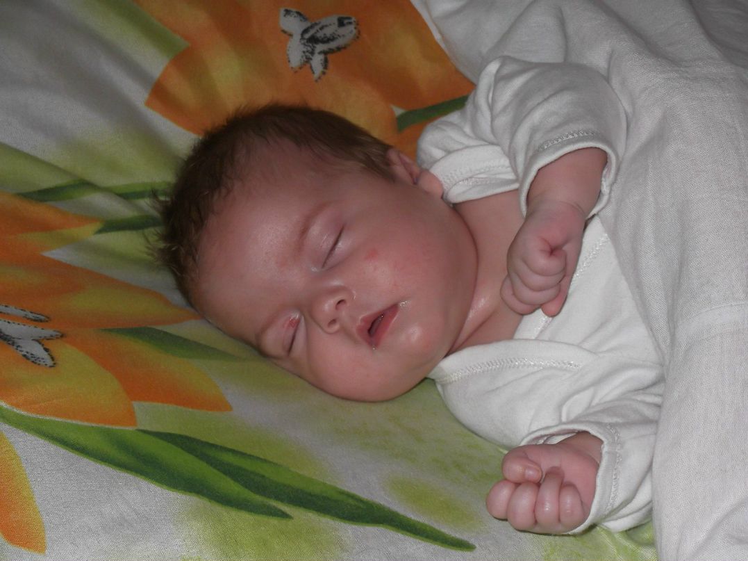 Анна Шемет | Сегежа