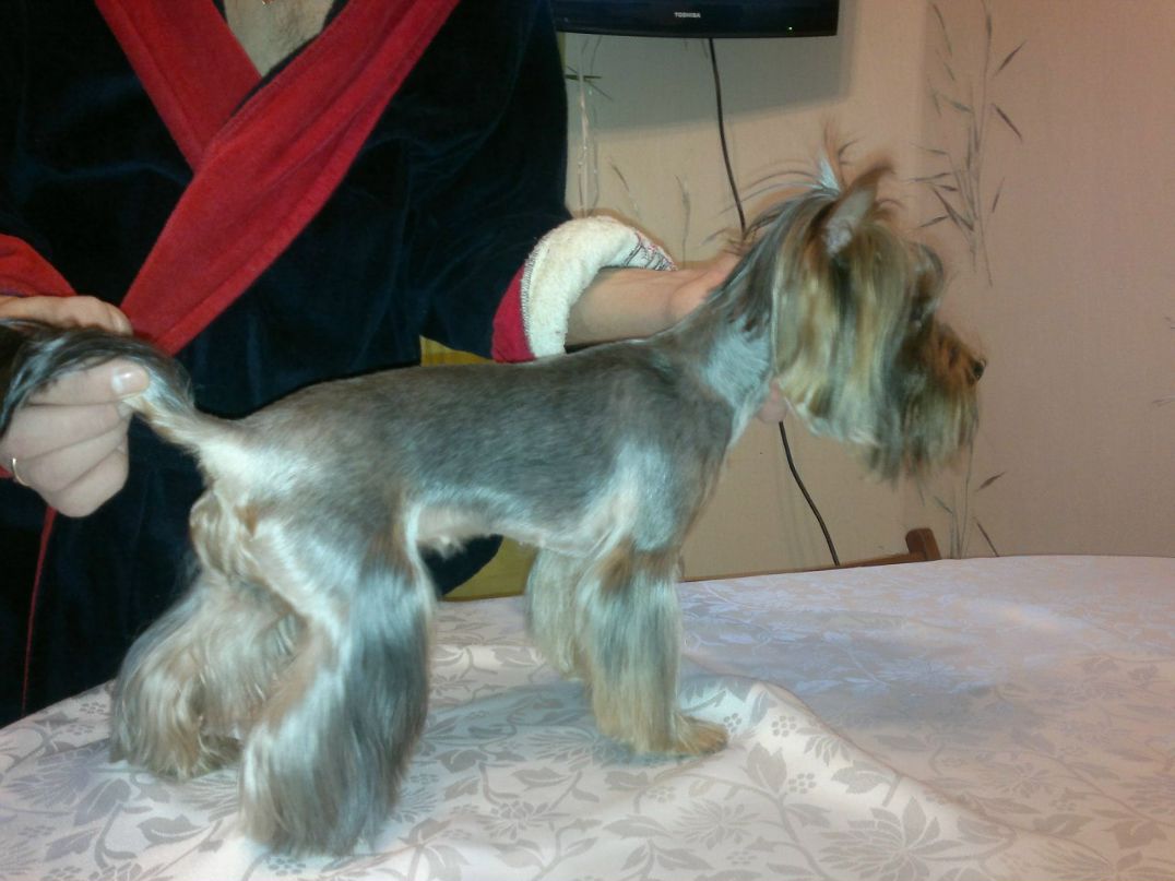 Алла Бражкина ღ♥ღ♥ | Москва