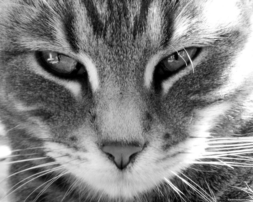 Макс Гордюшкин $ | Москва