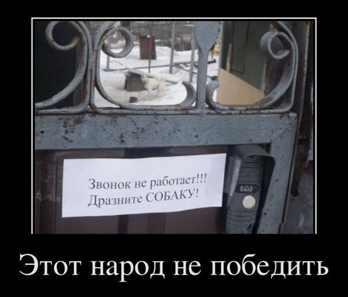 Александр Сидорин *=)Бородатая Выхухоль(=* | Москва