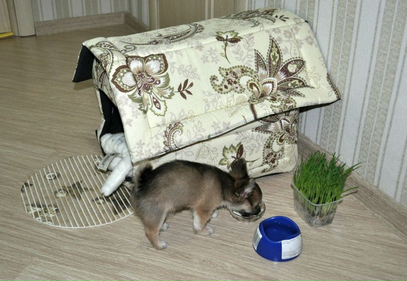 Милена Иванова | Кострома