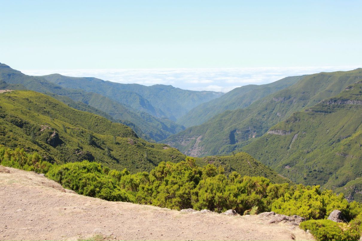 Сергей Матвеев | Москва