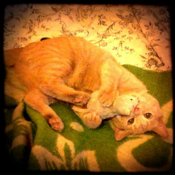 №20, Катя Ложникова, 42 года, Los Angeles №20, Катя Ложникова, 42 года, Los Angeles