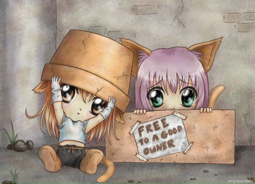 №3, Сашшшка Агарков №3, Сашшшка Агарков