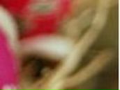 Татьяна Киреева Дмитривна | Киев