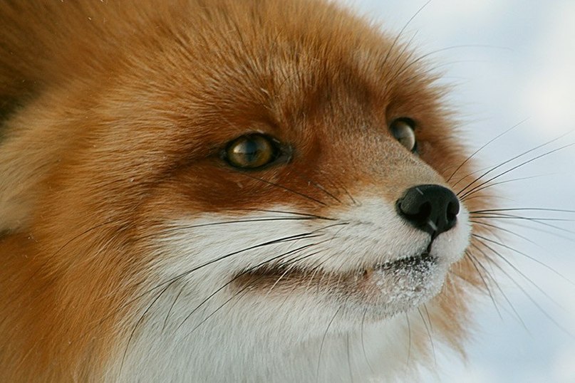 Алексей Сорокин | Москва