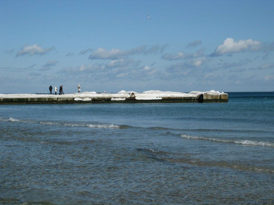 Дмитрий Рогатин | Киев