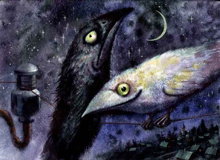 Паша Кураш | Архангельск