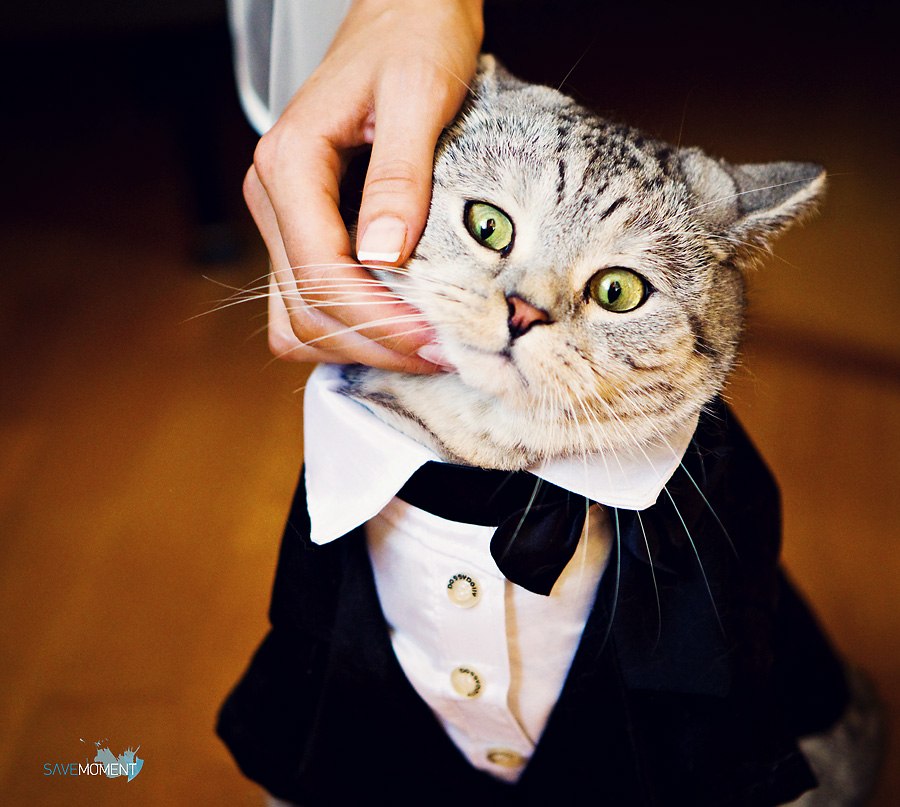 Никита Канатников | 