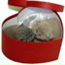 Натали Иванова | Норильск