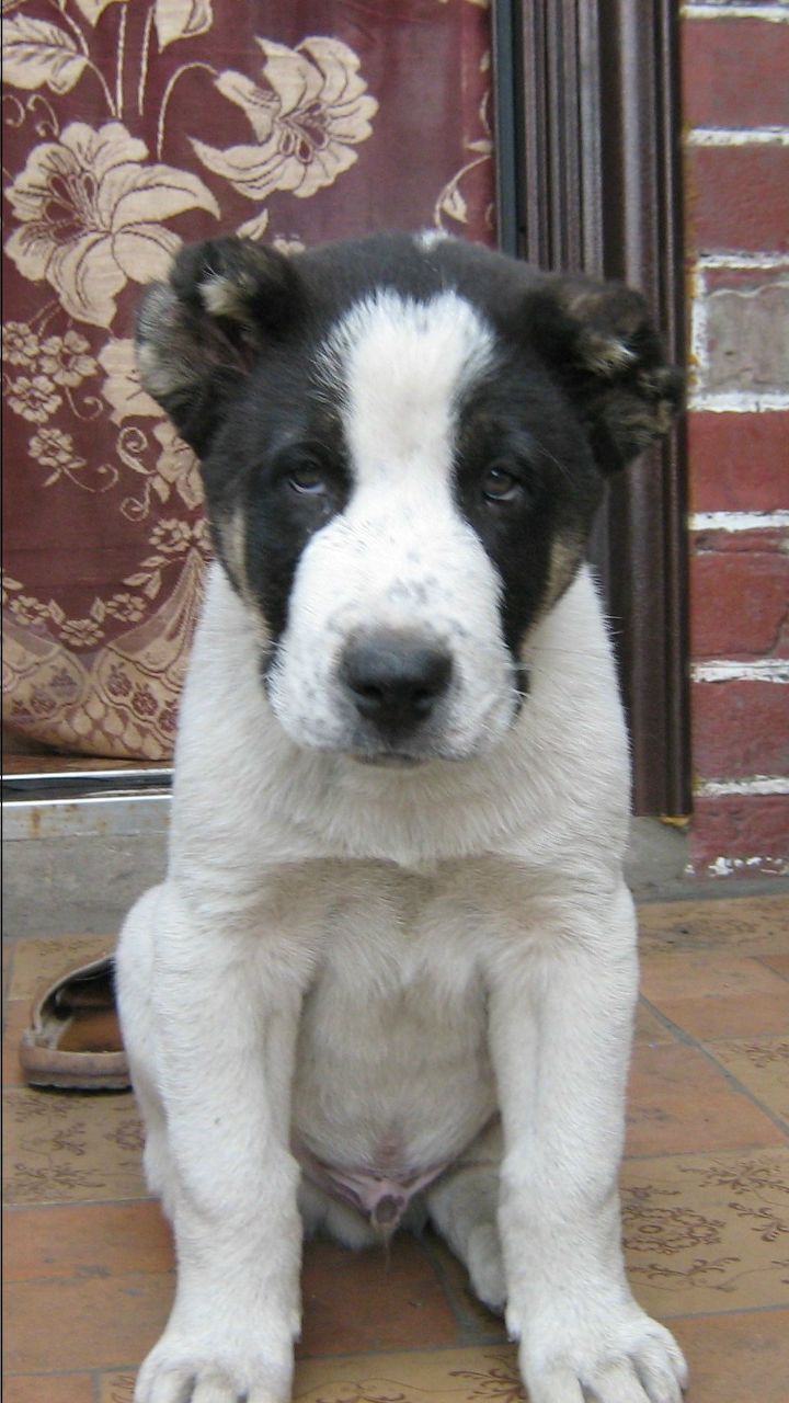 Артем Силищев | Павлоград