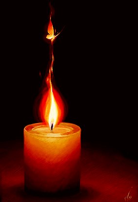 Надя Седлецкая | Киев