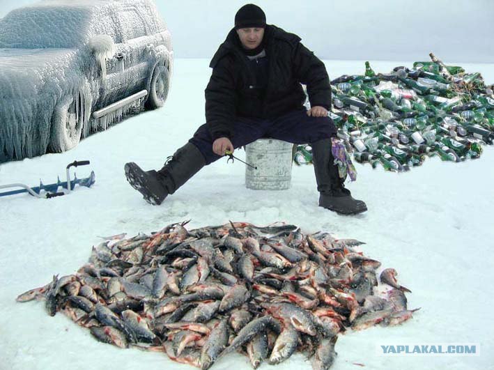 Денис Павликов | Санкт-Петербург