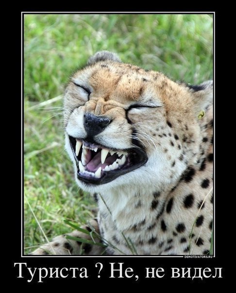 Александр Белоусов white | Екатеринбург