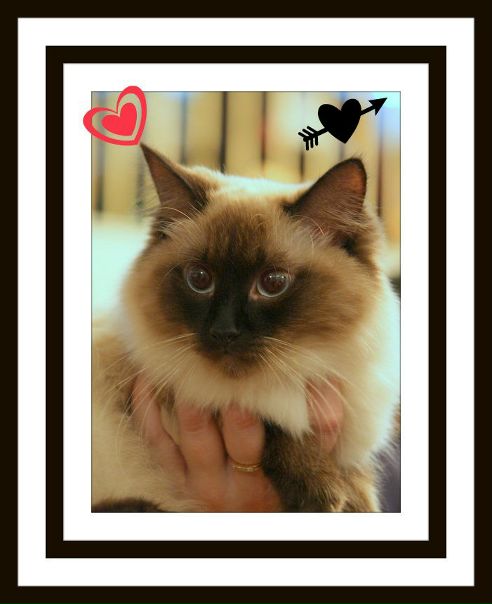 №10, Аня Мокрушина №10, Аня Мокрушина