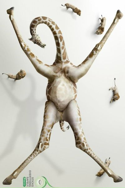 №3, Евгения Плакхина, 40 лет, Пермь №3, Евгения Плакхина, 40 лет, Пермь