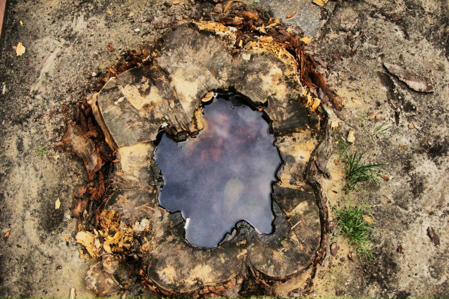 №124, Владимир Тоник, Киев №124, Владимир Тоник, Киев