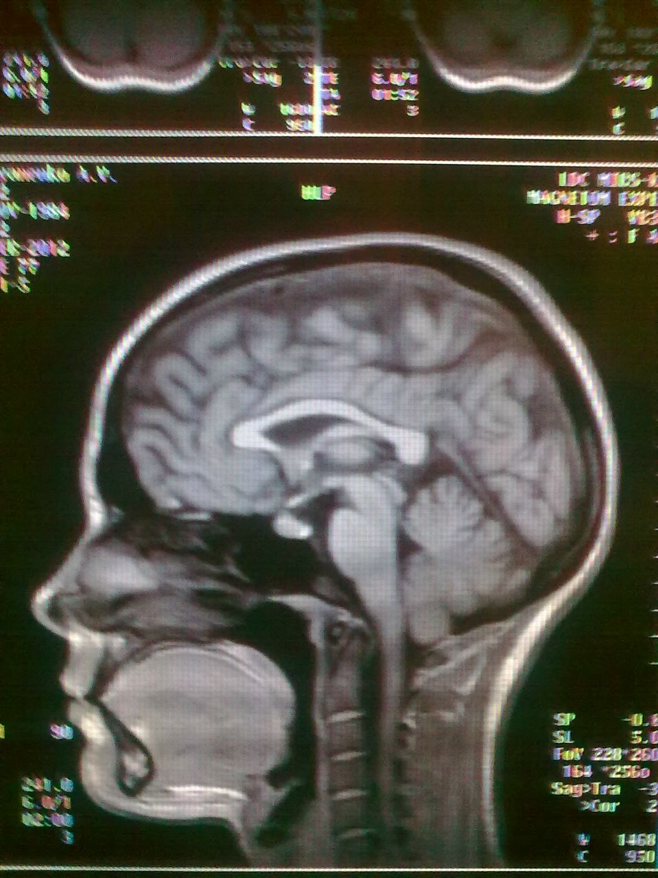 Александра Касьяненко | Ессентуки