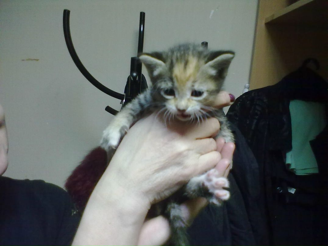 Саша Вежневец | Ижевск