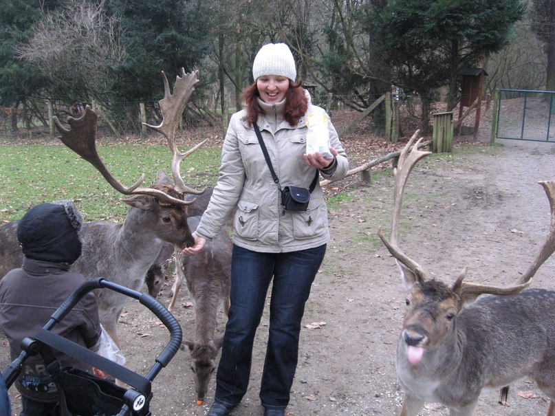 Victoria Fleer | Ванадзор