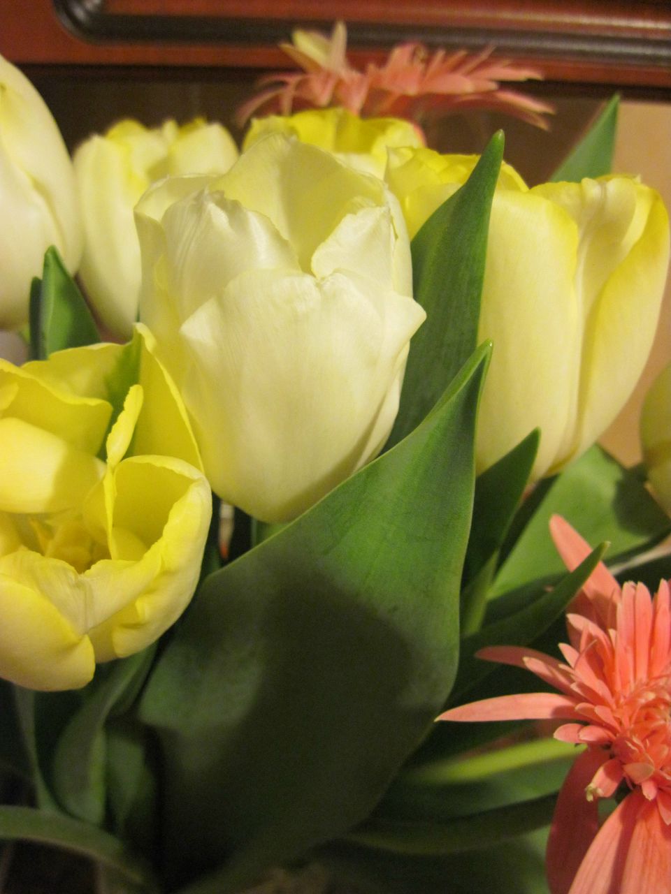 Зоя Черняк | Минск