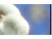 Юрій Козій | Тернополь