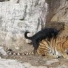 Аватар: Виталик Вот
