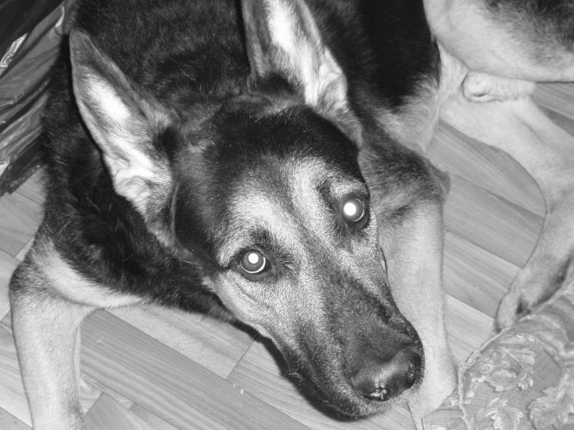 Светлана Лыскова | Москва