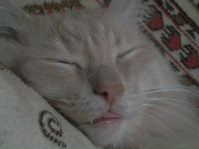 Елена Третьякова | 