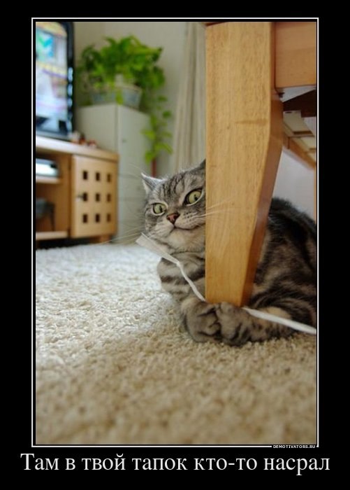 Алексей Кутилин | Москва