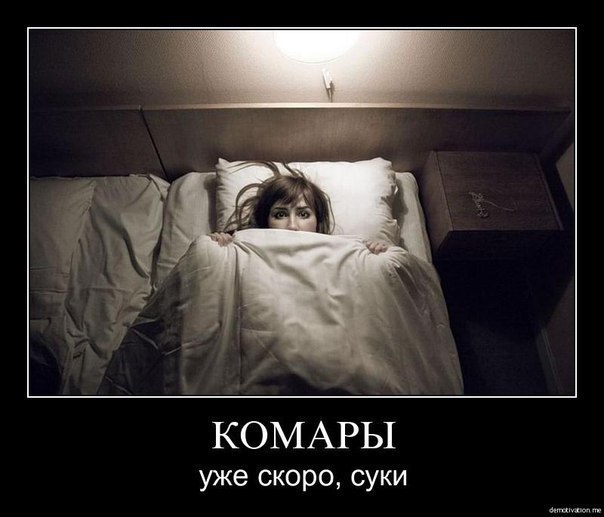 Остроумный психолог