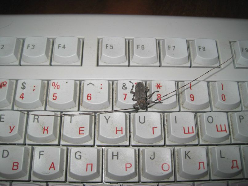 Сергей Кильдюшов | Вологда